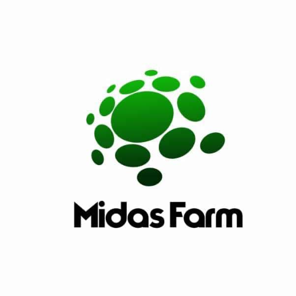 midas farm